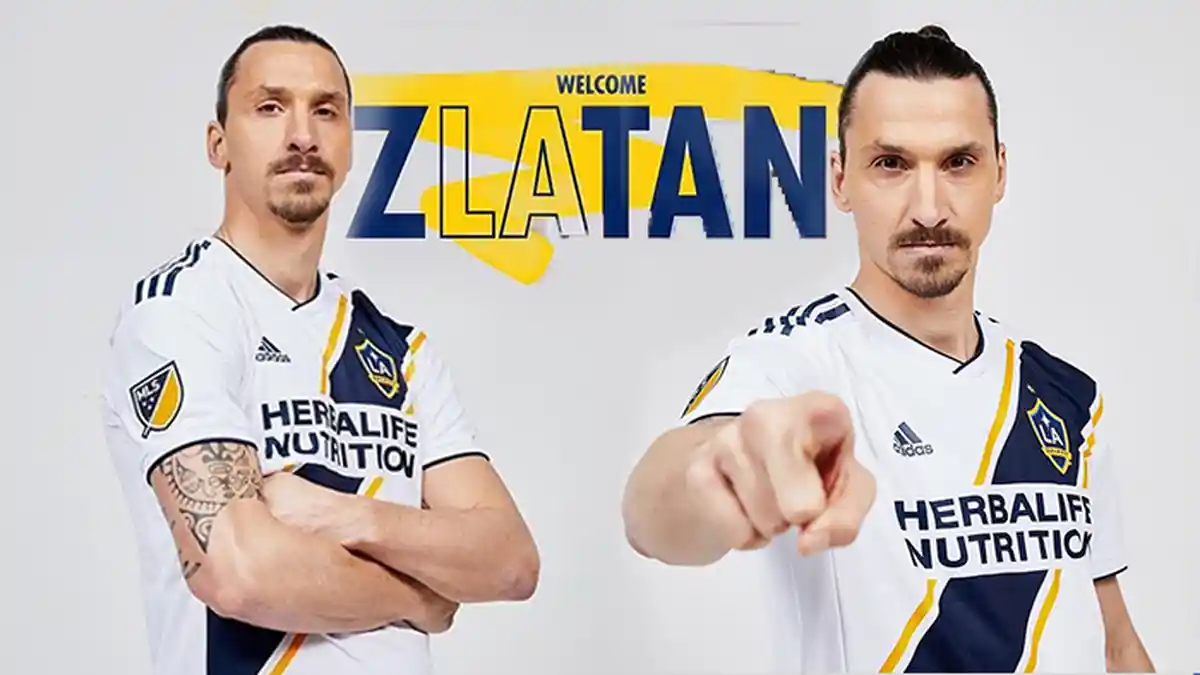 Alasan Kalteng Putra Tak Bisa Datangkan Zlatan Ibrahimovic
