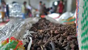 Cengkeh-di-Gudang-Cengkih-Wanea-Kota-Manado-Sulawesi-Utara-Senin-2122024.jpg
