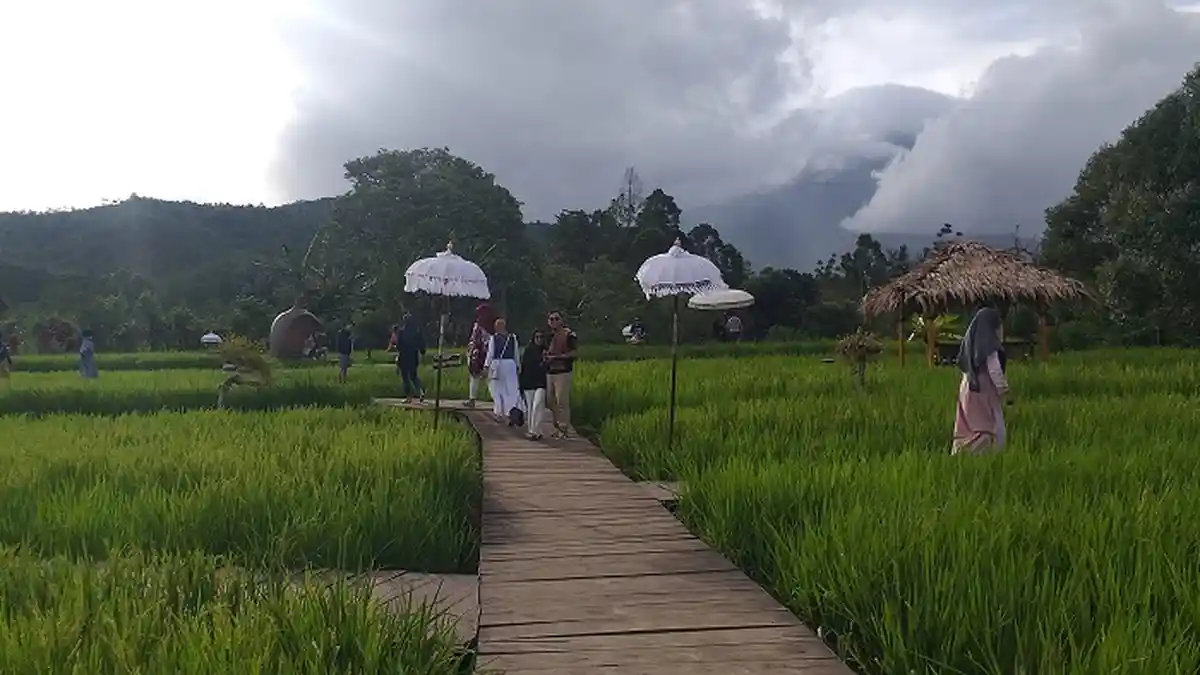 Tempat Wisata Baru di Pagaralam, Tempat Selfie Berlatar Gunung Dempo dan Bukit Barisan