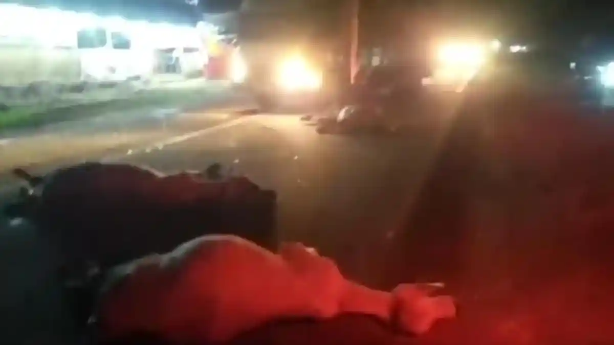 6 Ekor Lembu Mati Tertabrak Bus di Jalinsum, Sopir Minta Pertanggungjawaban Pemilik Hewan Ternak