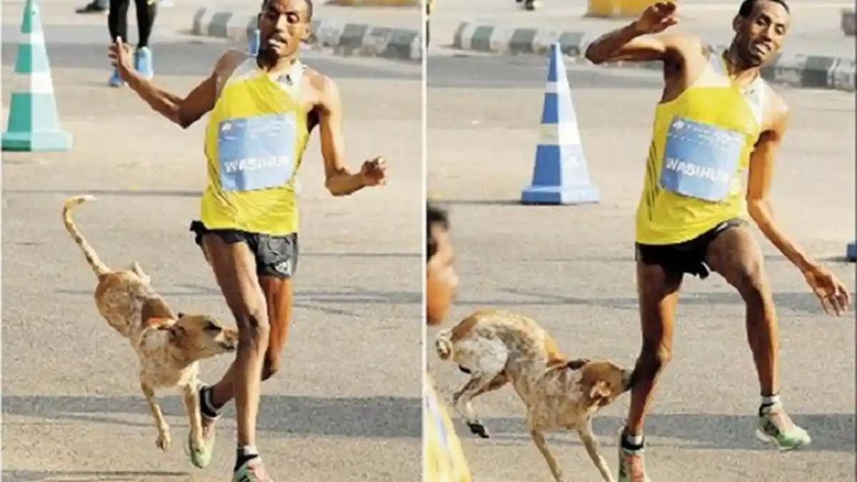 MENGGELIKAN: Atlet Maraton Dunia Ini Dikejar dan Digigit Anjing Liar Betisnya, Inilah Videonya
