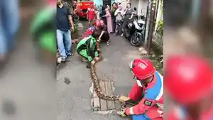 Ular-Sanca-Ditangkap-hu.jpg