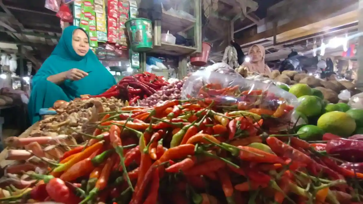 Harga Cabai Melonjak, Elang Buana Sebut Kota Tarakan Sudah Swasembada Lokal, Tapi tak Mencukupi  