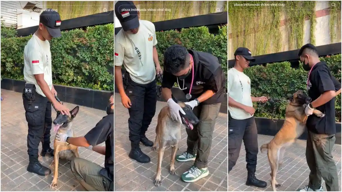 Nasarius, Sekuriti Plaza Indonesia yang Diviralkan Pukul Anjing Tidak Jadi Dipecat