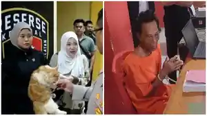 SELAMAT-DARI-PENJAGALAN-KUCING.jpg