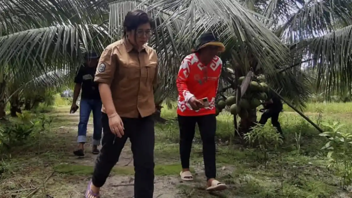 Butuh Dukungan, Janji Kementan RI untuk Pengembangan Kelapa Bido Morotai