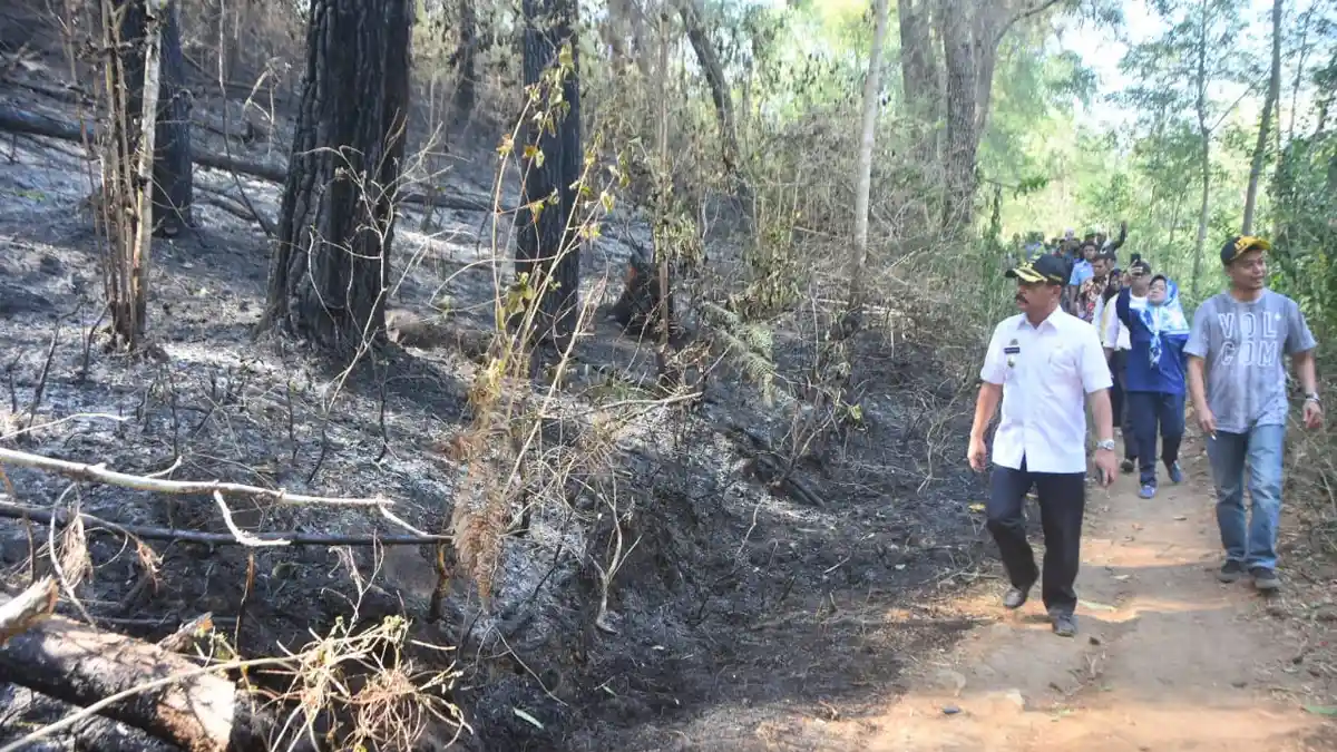 Kebakaran Hutan di Gowa Diperkirakan Capai Ratusan Hektare