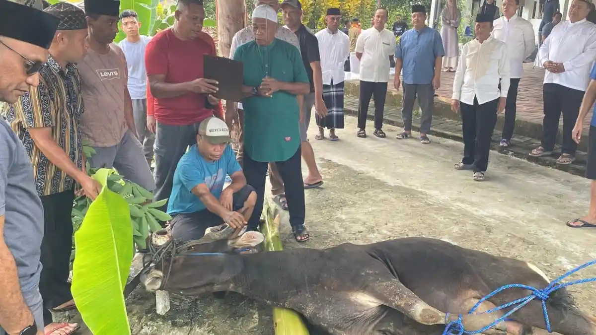 Polda Maluku Salurkan 118 Hewan Kurban, Komitmen Pengabdian Kepada Masyarakat
