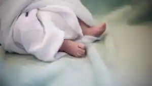 mayat-bayi_20170329_153651.jpg