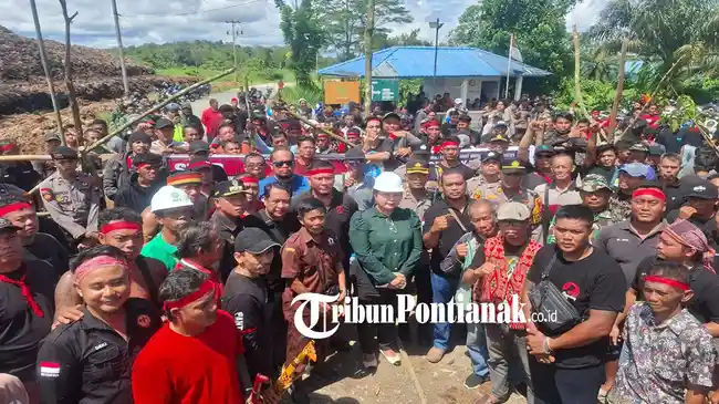 Tribun