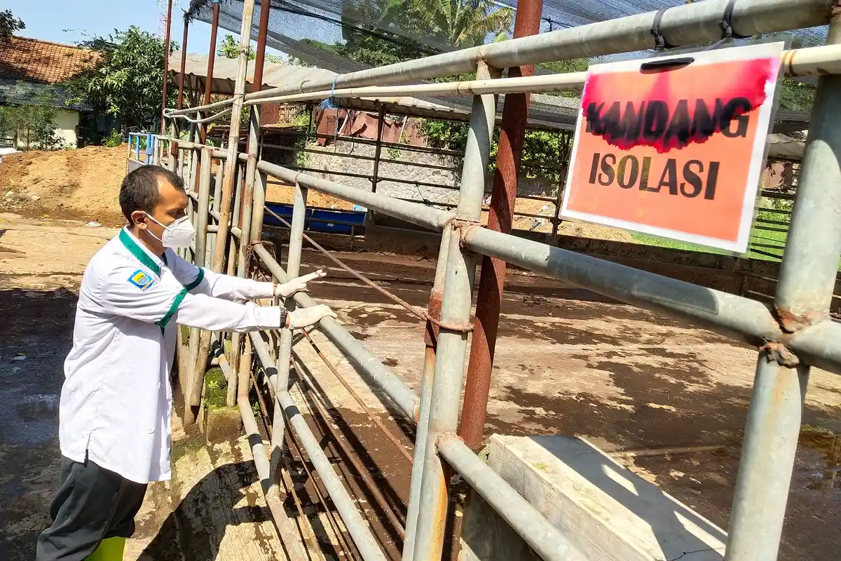 Jelang Idul Adha 2022, Puan Maharani Minta Pemerintah Gerak Cepat Tangani Penyakit PMK pada Sapi