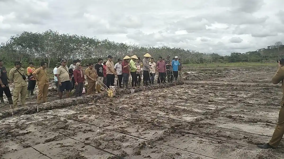 Kapolsek Nanga Tayap Lakukan Penanaman Serentak Bibit Jagung di Lahan ...