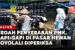 Cegah-Penyebaran-PMK-Sapi-sapi-di-Pasar-Hewan-Boyolali-Diperiksa.jpg