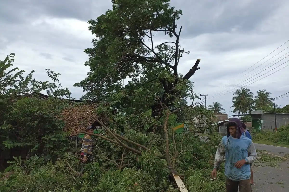 Dianggap Mengganggu Pengguna Jalan, Warga Desa Nijang Sumbawa Gotong Royong Pangkas Dahan Pohon
