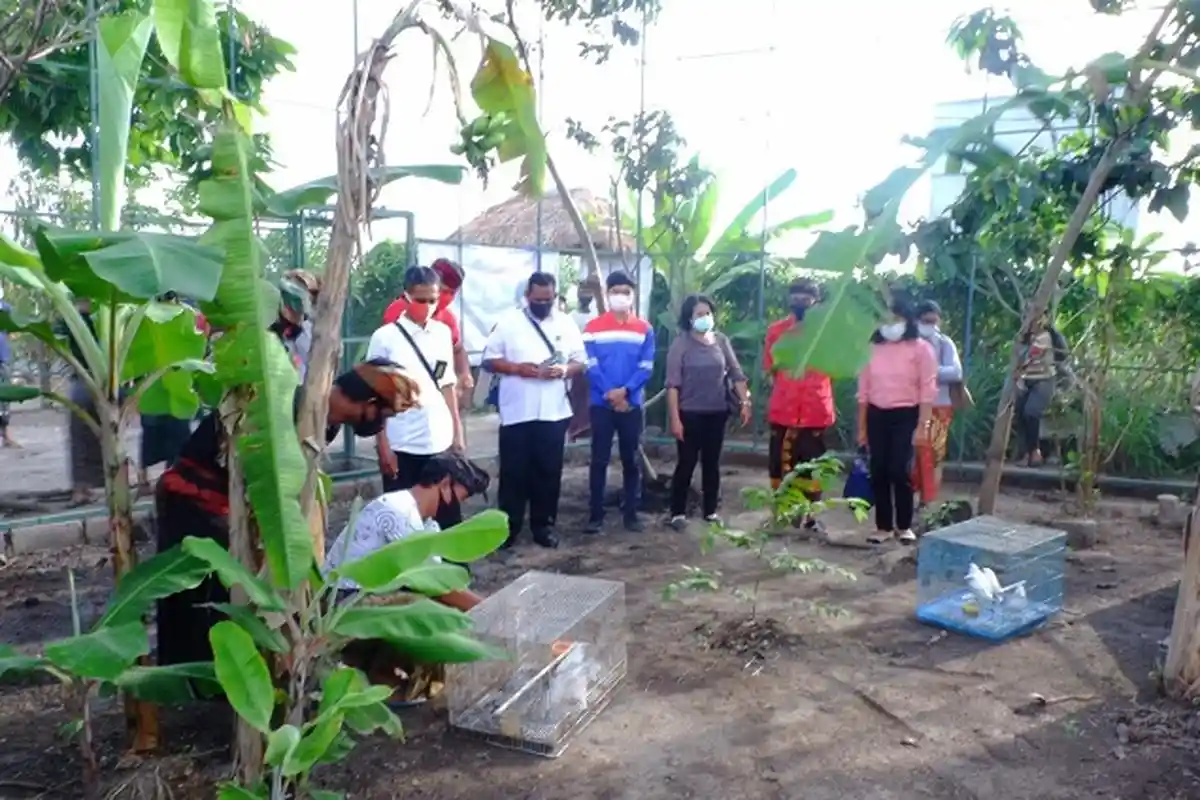 Populasi Jalak Bali Menurun, Pertamina MOR V Luncurkan Program Konservasi