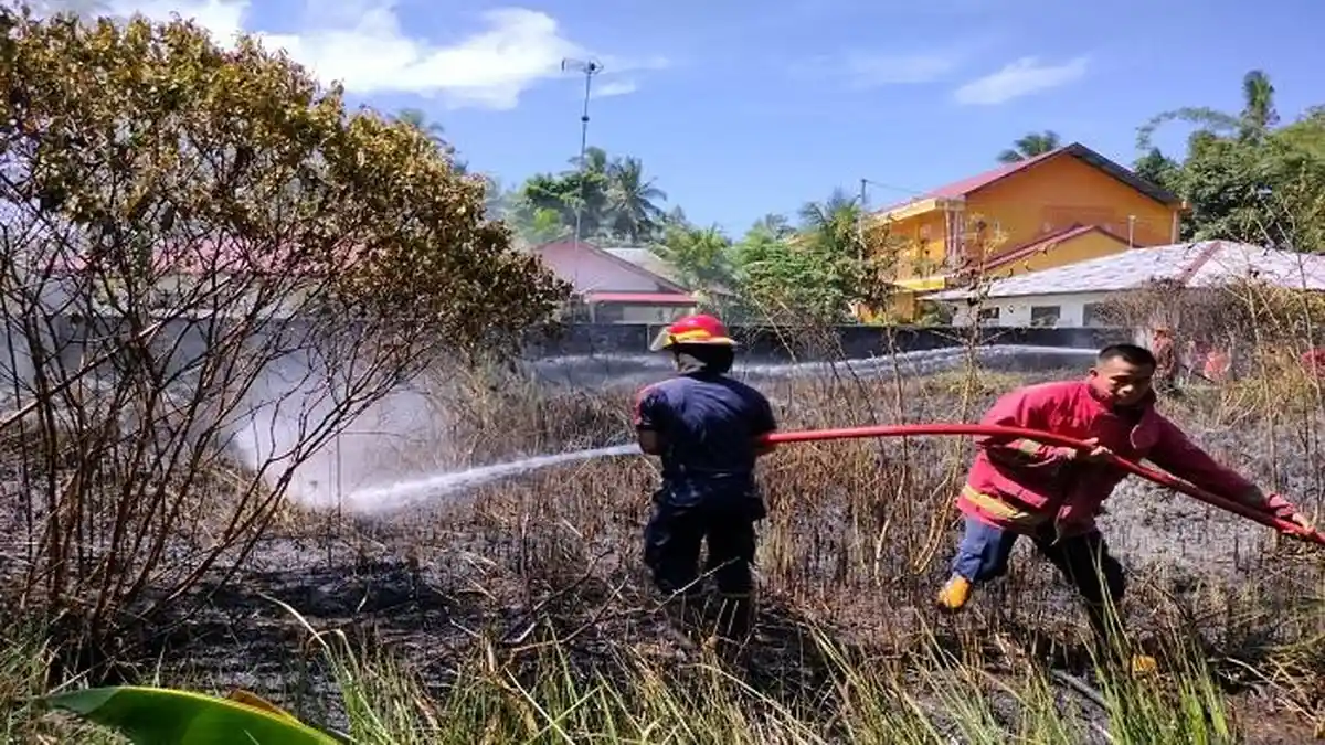 Damkar Catat 4 Kali Kebakaran Lahan Terjadi di Pariaman Sejak Akhir Maret 2022