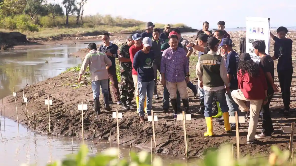 Hari Lingkungan Hidup Sedunia, Sungai Nipa-nipa Bantaeng Ditanami 1.000 Bibit Mangrove