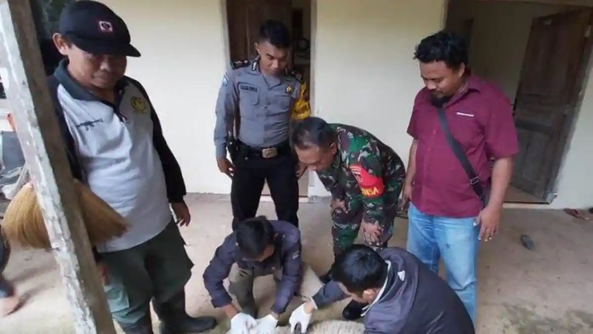 Kematian Misterius 30 Kambing Gembel di Wonogiri, Ada Luka Gigitan di Bagian Leher