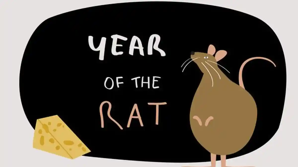 Ramalan Shio Tikus di Tahun Kerbau Logam 2021, Kekayaan Bertambah Secara Tak Terduga