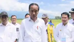Presiden-Jokowi-di-Pandere-Sigi.jpg