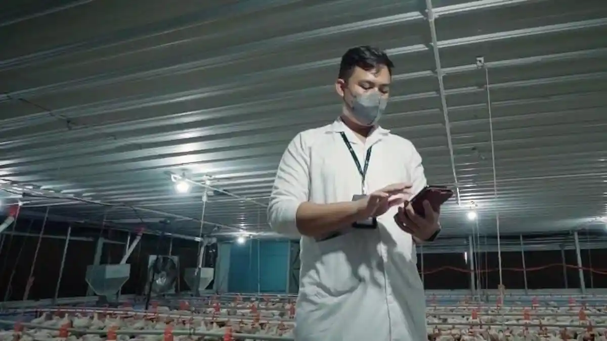 Telkom Dukung Akselerasi Digital Sektor Peternakan dengan Platform Antares