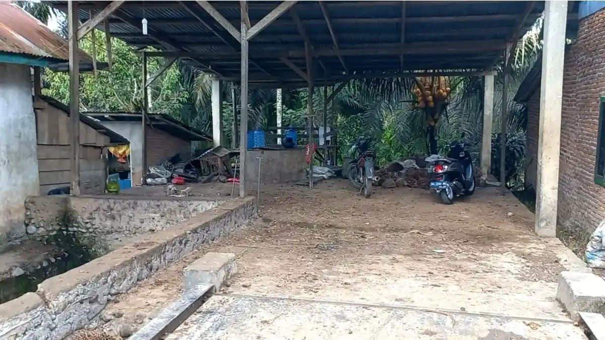 Pabrik Sawit di Bengkulu Selatan dan Kaur Tutup Jelang Lebaran, Ini Jadwalnya