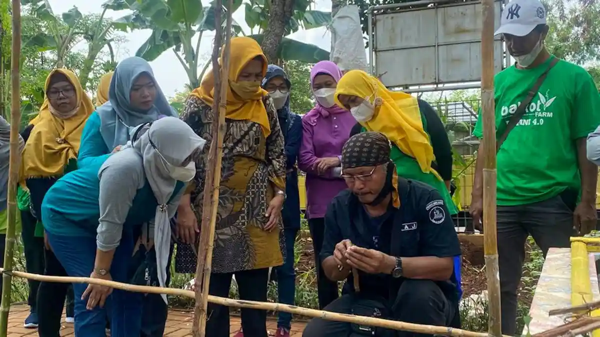Warga Kelurahan Sunter Agung Ikuti Pelatihan Budidaya Anggur dan Melon