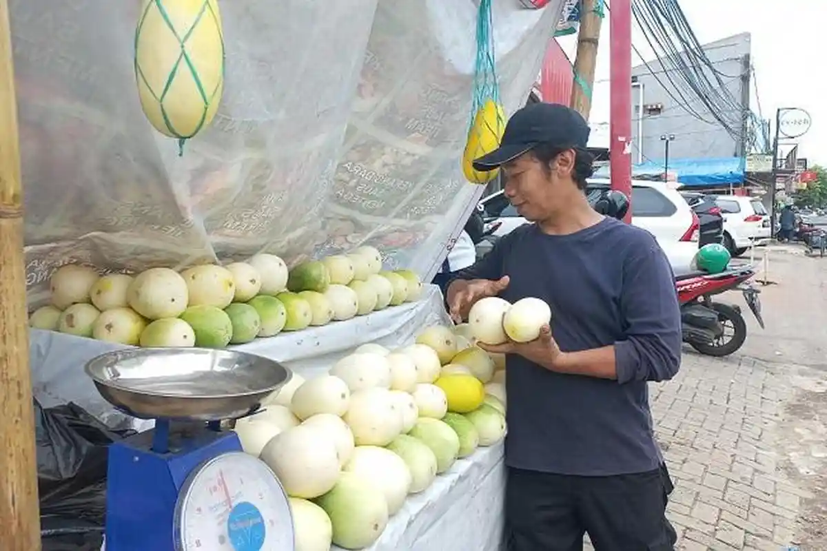 Tips Memilih Timun Suri yang Bagus untuk Sajian Berbuka Puasa Langsung dari Pedagangnya