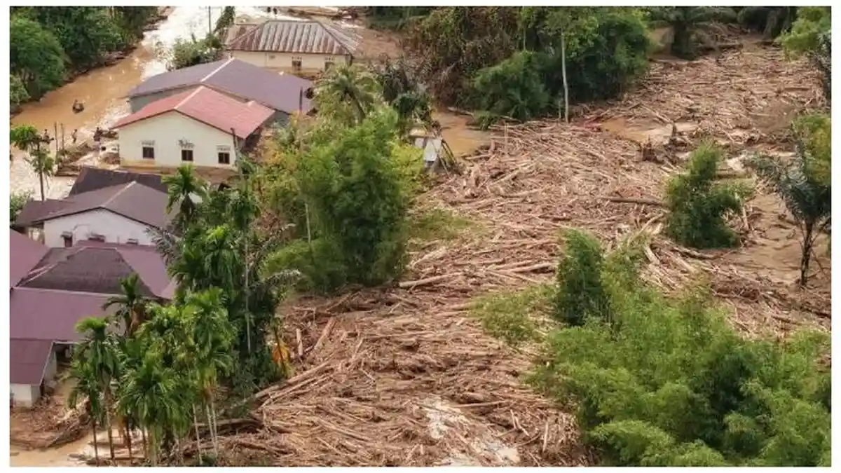 11 Nama yang Disebut Bupati Tapsel Sebagai Bos Penebangan Pohon: Izinnya Pun Kami Tak Dilibatkan