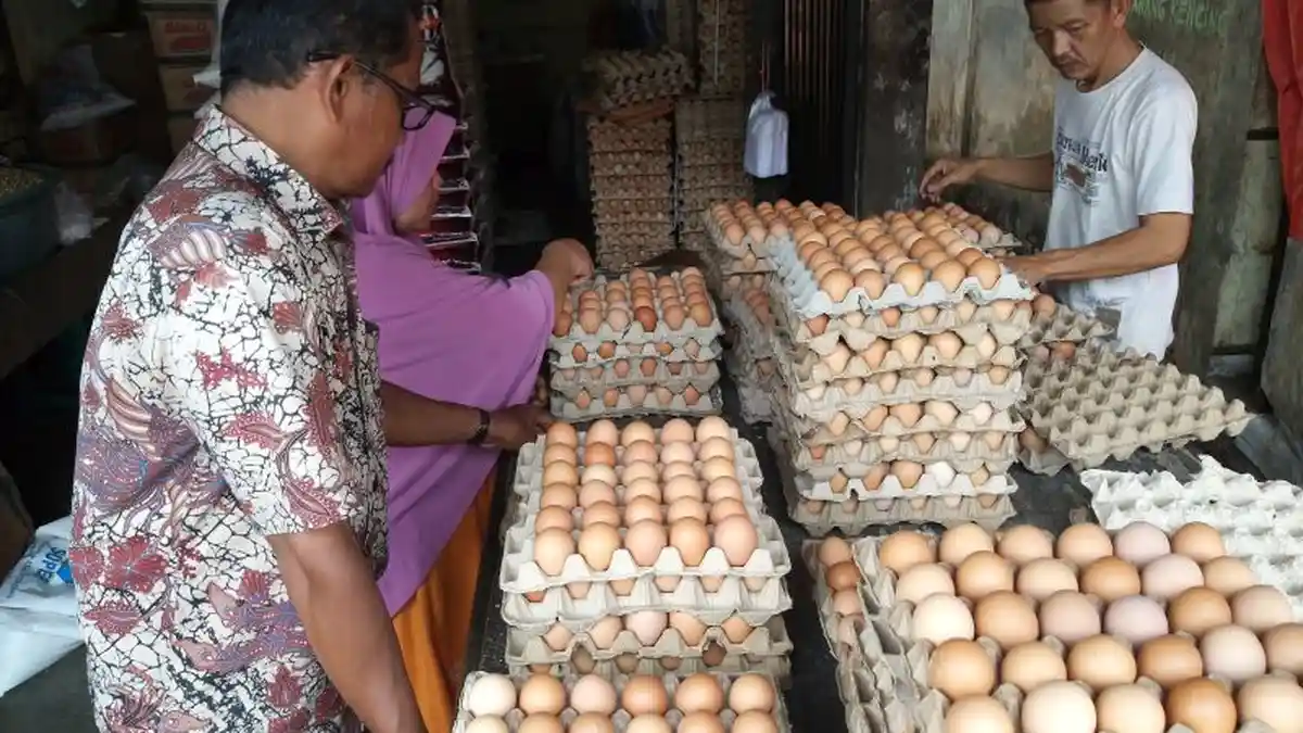 Jelang Pergantian Tahun, Harga Telur Ayam di Abdya Meningkat, Cabai Merah Turun