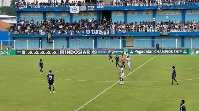 Tribun