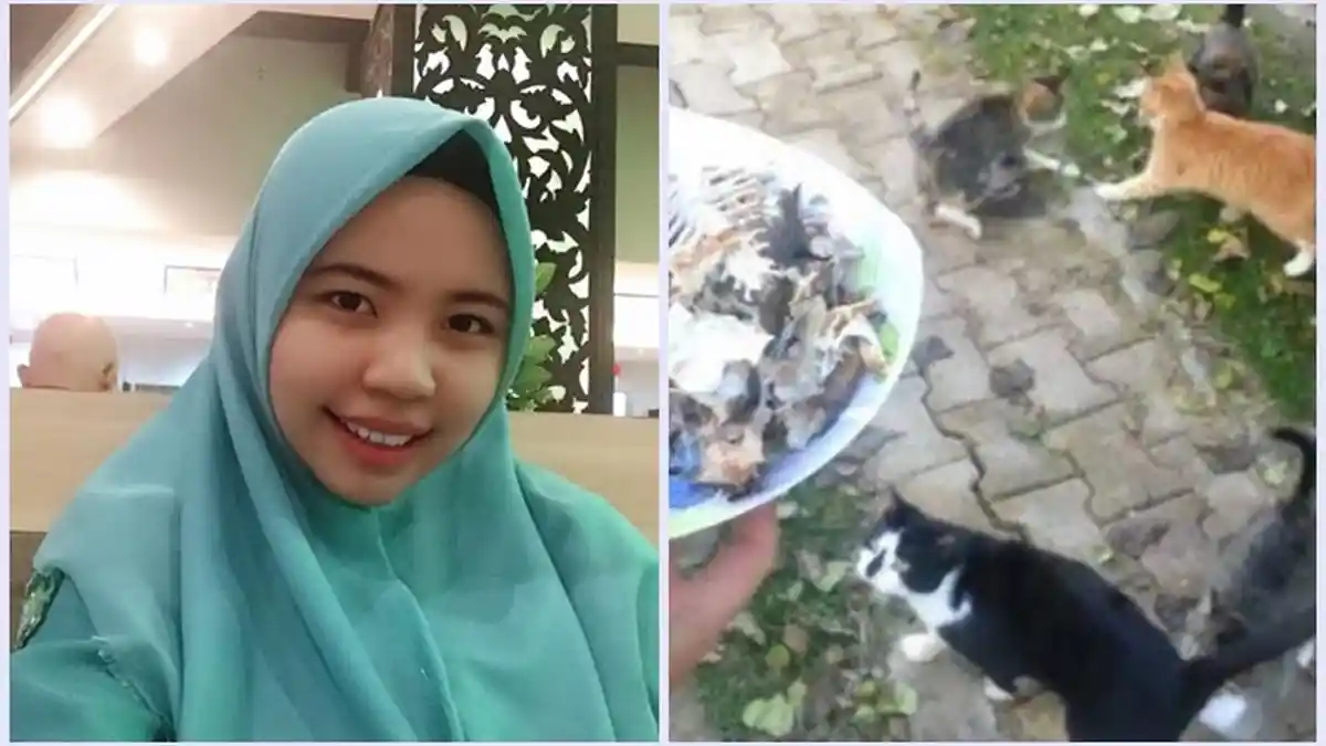 Rela Luangkan Waktu Memberi Makan Kucing di Jalan, Fatimah Percaya Ini