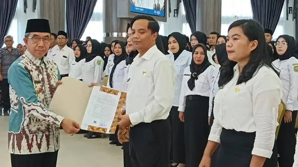 Terbaru! Terjawab Sudah PPPK 2024 Kapan Dibuka, Cek Jadwal dan Perbedaan CPNS dan PPPK