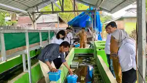 20260607-Budidaya-Lobster-Air-Tawar.jpg