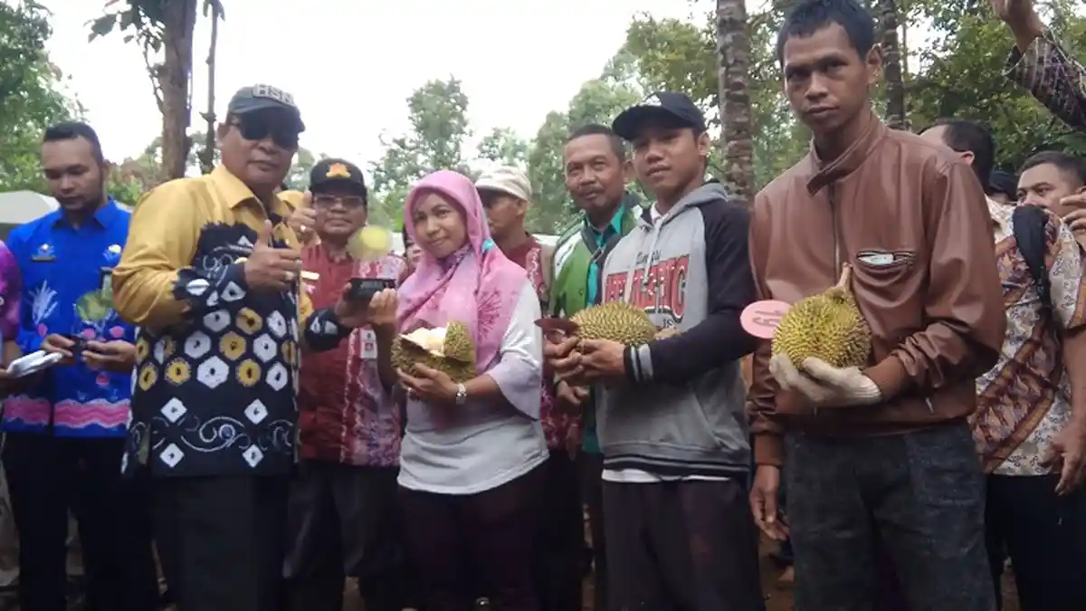 Durian Sibamban Juarai Kontes Durian se Banjar