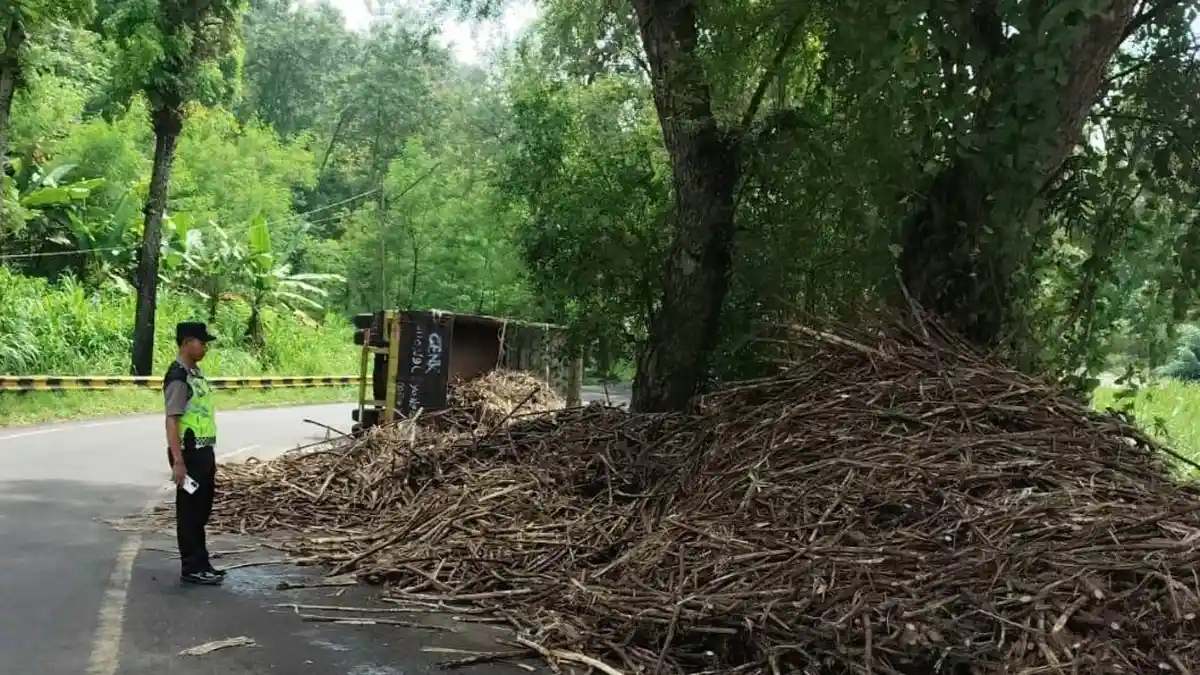 Truk Muatan Tebu Terguling di Jalur Blitar-Malang, Arus Lalu Lintas Ikut Terganggu