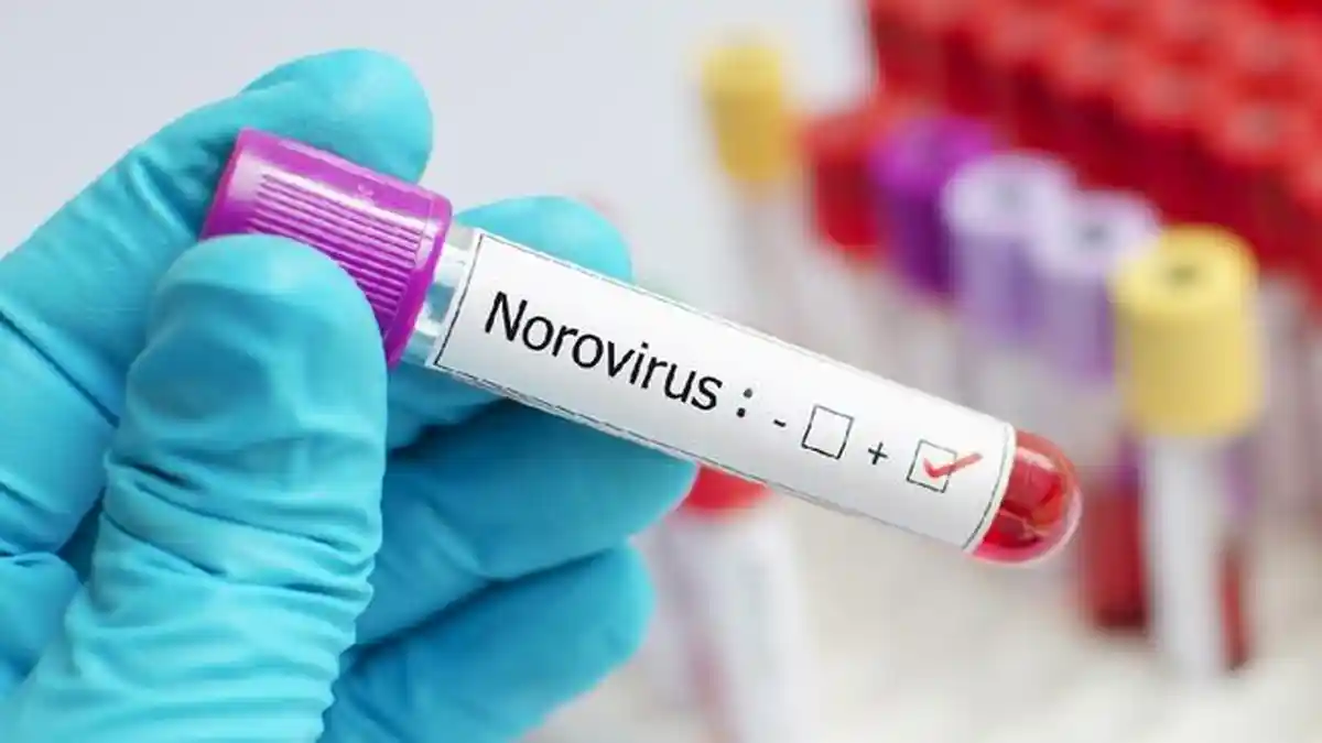 Norovirus Sudah Muncul di Indonesia, Kenali Penyebab, Gejala, dan Langkah Pencegahannya