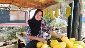 Pedagang-Timun-Suri-di-Cibinong.jpg