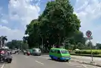 Padahal Sepi Penumpang, Angkot Ini ‘Kebal’ Ngetem di Bawah Larangan Parkir Alun-Alun Kota Bogor