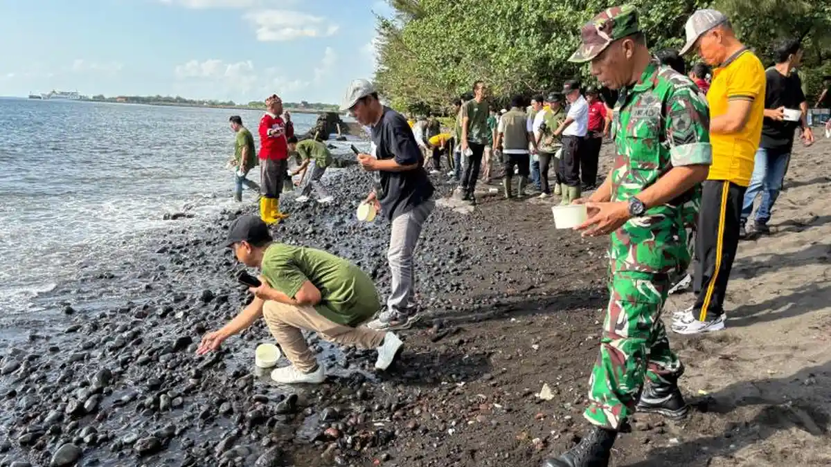Tanam 3.000 Mangrove dan Lepas 100 Tukik di Banyuwangi Jaga Ekosistem Laut