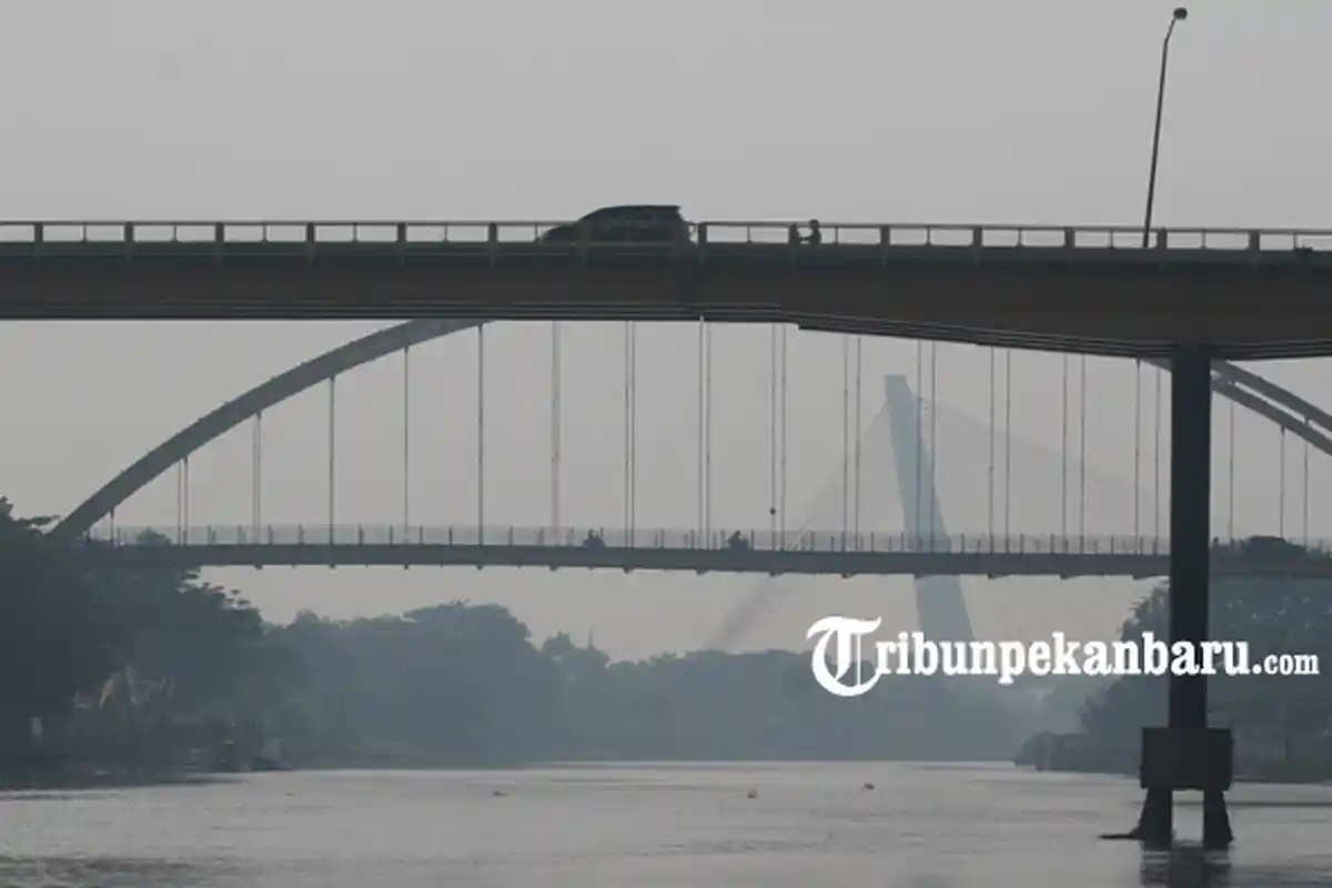 Wisata Air di Pekanbaru, Bakal Ada Flying Fox dan Restoran Terapung di Sungai Siak, Launching Juli