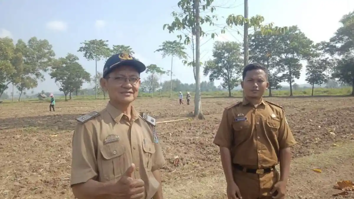 Dinas Pertanian Pringsewu Siapakan 1 Ton Racun Tikus untuk Basmi Hama Tikus dan Wareng