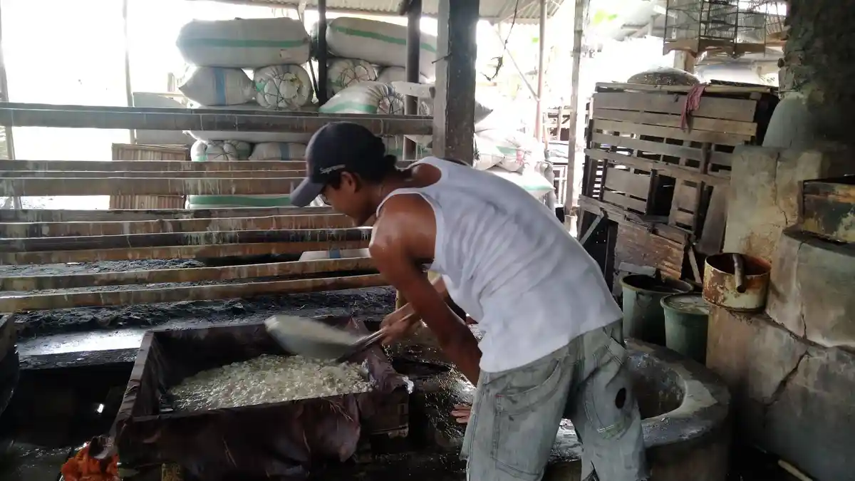 Perajin Tahu di Cilacap Ogah Ikut Mogok, Terpaksa Kurangi Ukuran: Kasihan Karyawan