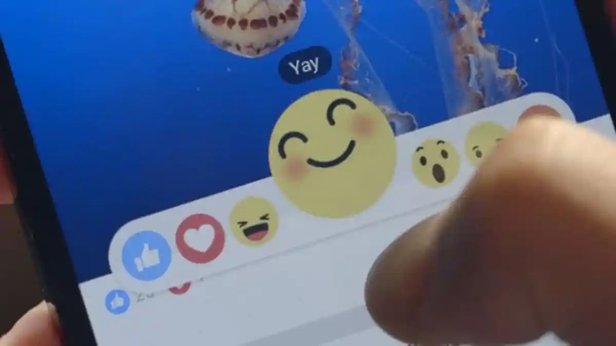 Penelitian Ungkap Analisis Kepribadian Seorang dari Statusnya di Facebook