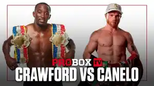 Jadwal-Tinju-Dunia-Oleksandr-Usyk-Yakin-Terence-Crawford-Menang-Lawan-Canelo-Alvarez.jpg