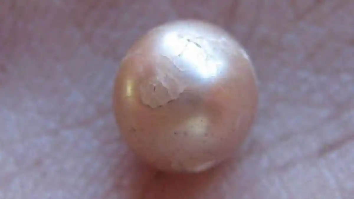 Ini Dia Mutiara Berusia 2.000 Tahun