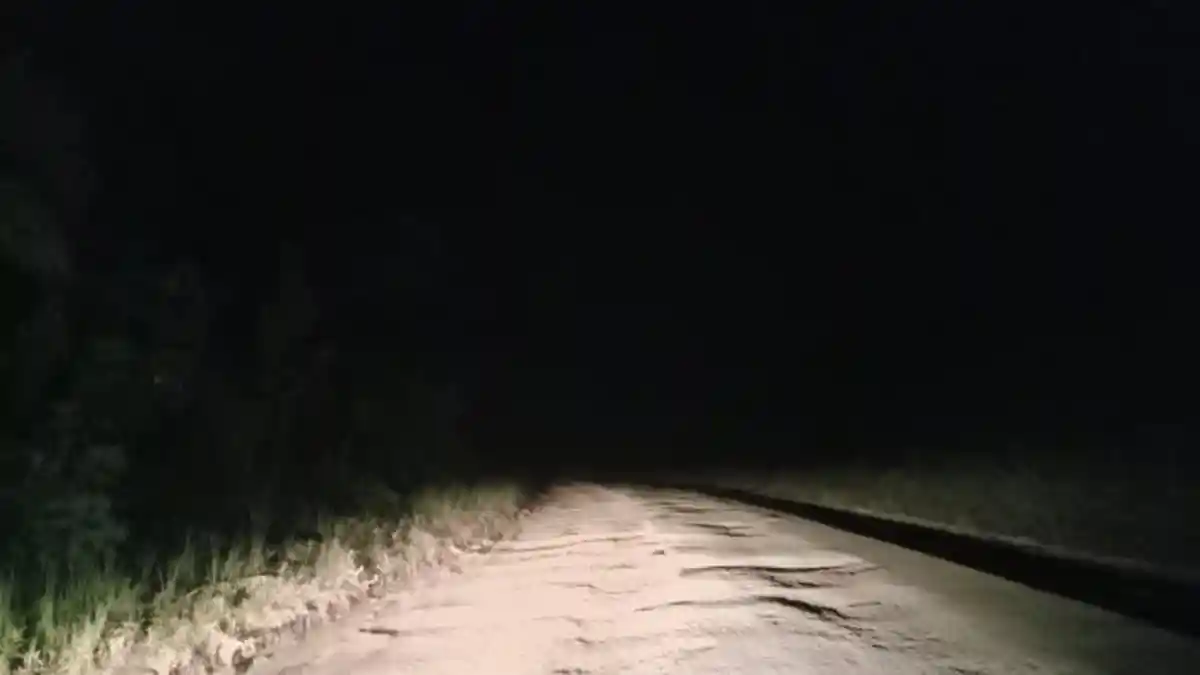 Dua Bule Wanita Tersesat di Hutan Kintamani, Mendaki Gunung Batur Jam 11 Malam