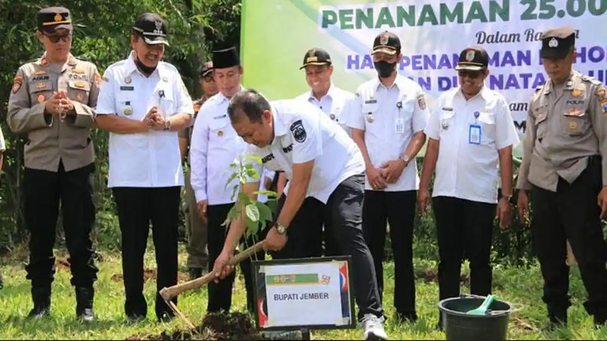 Jember Rawan Bencana, Bupati Apresiasi Partisipasi Unej dalam Penanaman Pohon di Lereng Argopuro