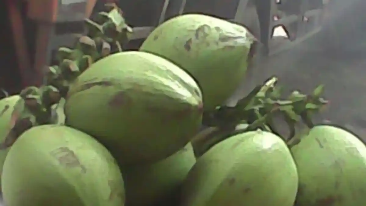 Berasal dari Buah yang Sama, Santan dan Air Kelapa Ternyata Punya Pengaruh yang Berbeda Bagi Tubuh