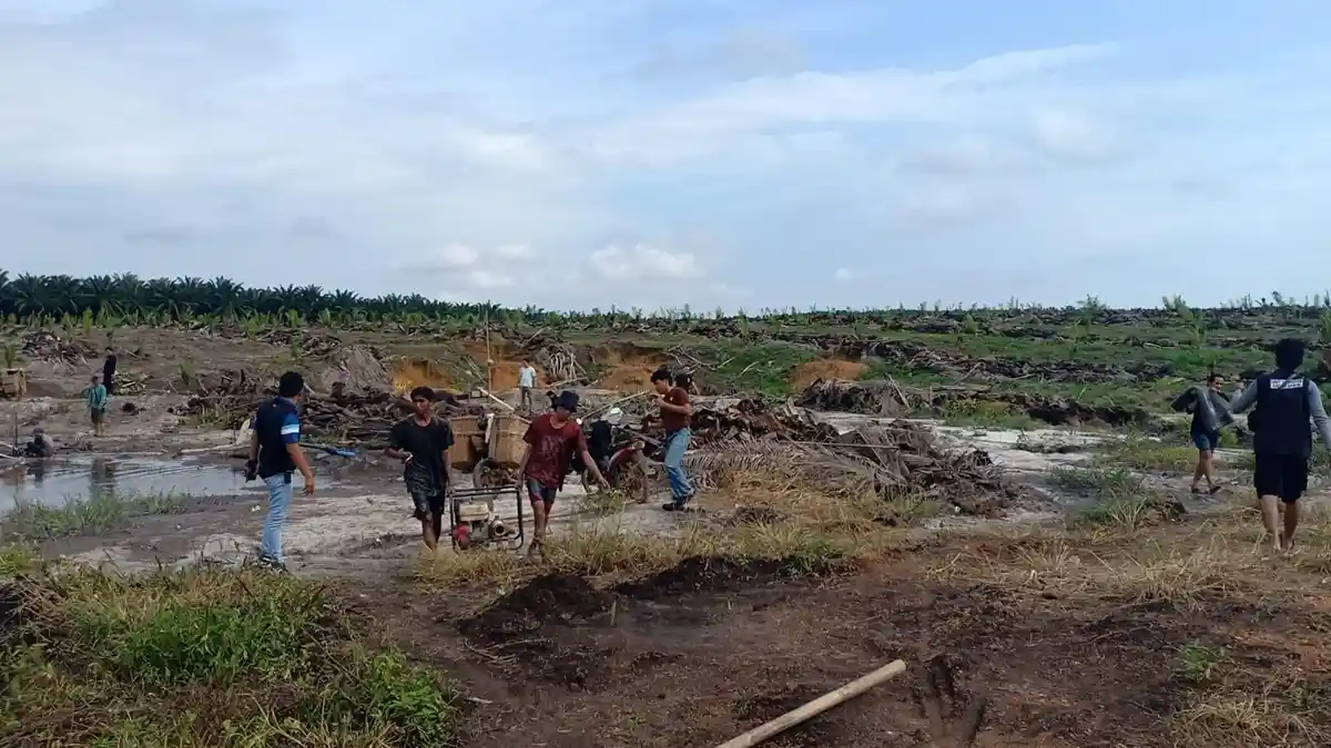 Lima Penambang Ilegal di Perkebunan Sawit PT GSBL Ditangkap Polisi